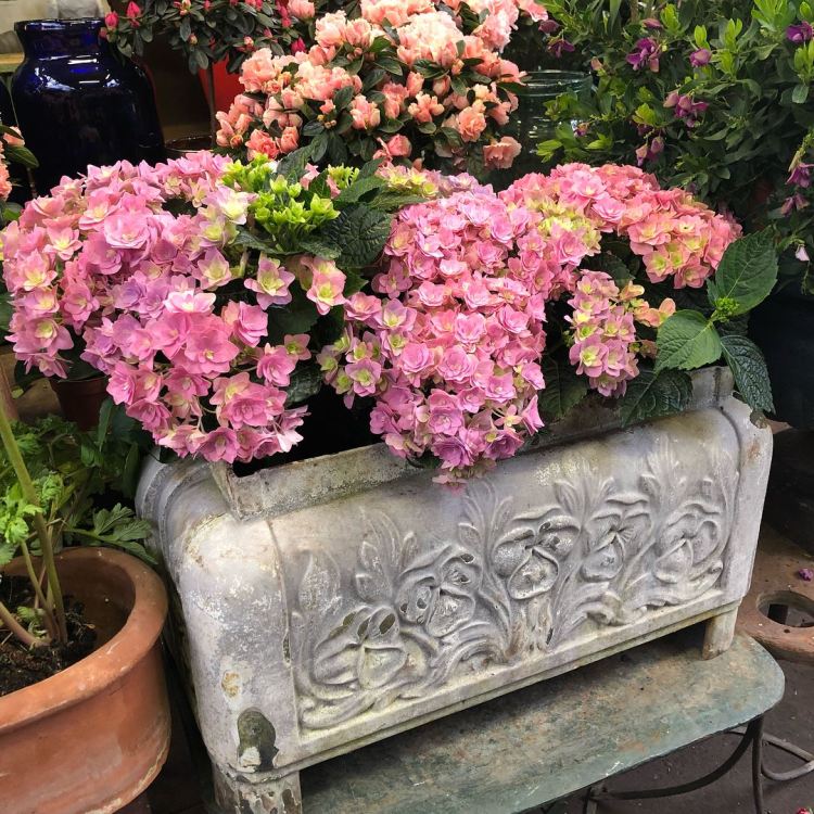 28954339_10155277379000933_7058790129260684200_o